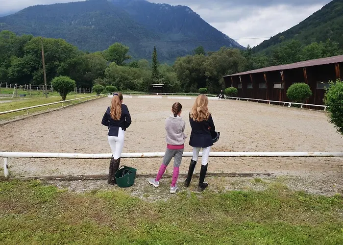 Muehle In Der Pferdewelt Reichenau